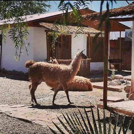 Cabanas Voyage Atacama سان بيدرو دي أتاكاما المظهر الخارجي الصورة