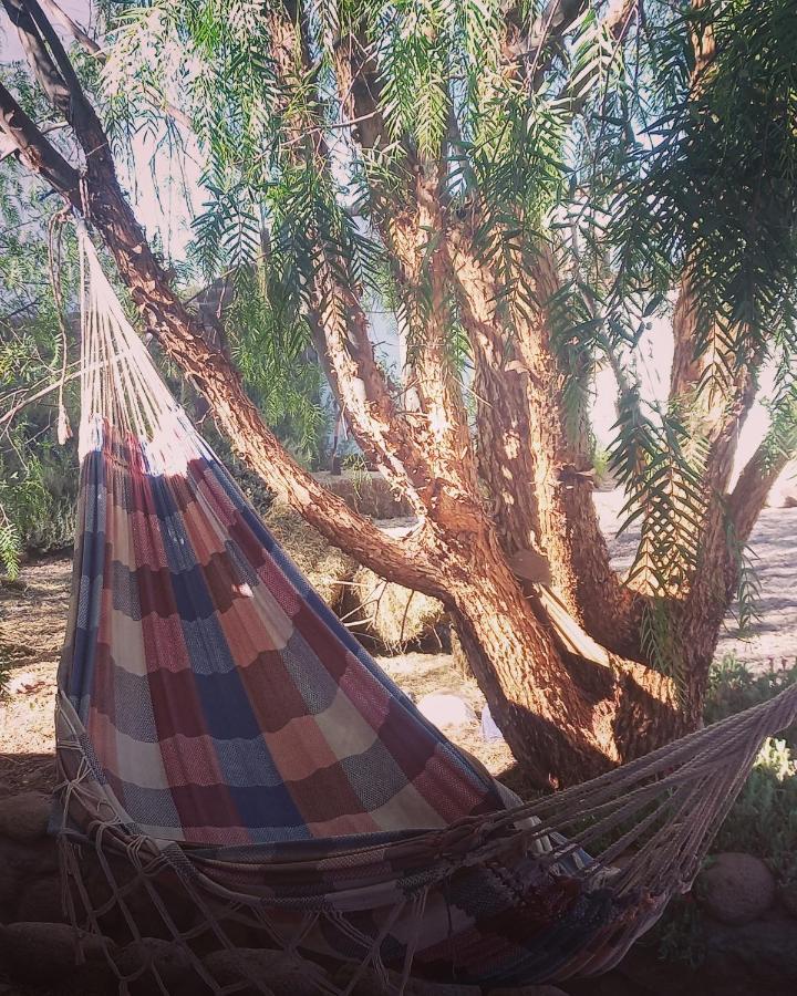 Cabanas Voyage Atacama سان بيدرو دي أتاكاما المظهر الخارجي الصورة