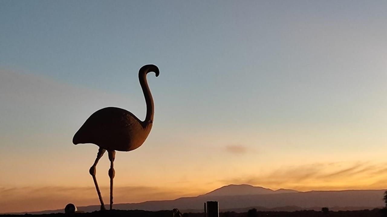 Cabanas Voyage Atacama سان بيدرو دي أتاكاما المظهر الخارجي الصورة
