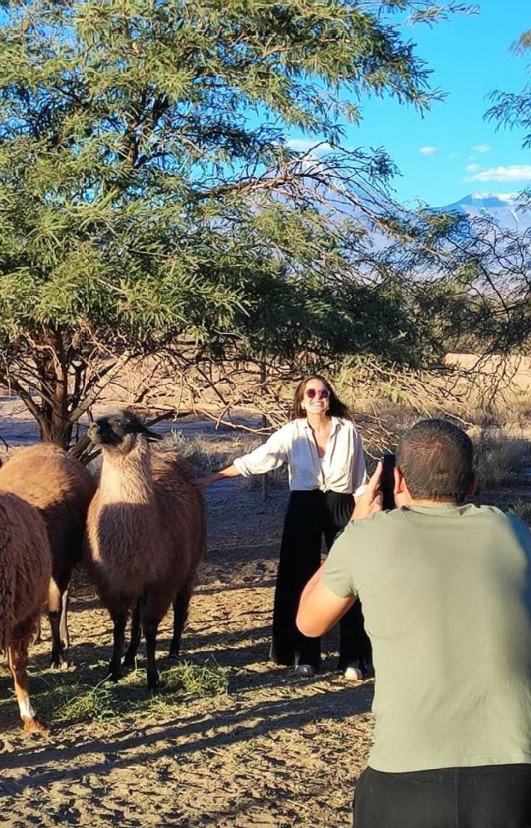 Cabanas Voyage Atacama سان بيدرو دي أتاكاما المظهر الخارجي الصورة