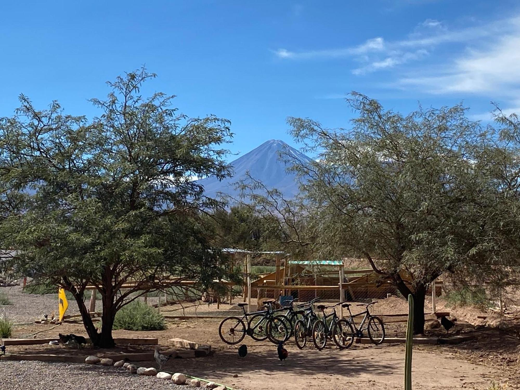 Cabanas Voyage Atacama سان بيدرو دي أتاكاما المظهر الخارجي الصورة