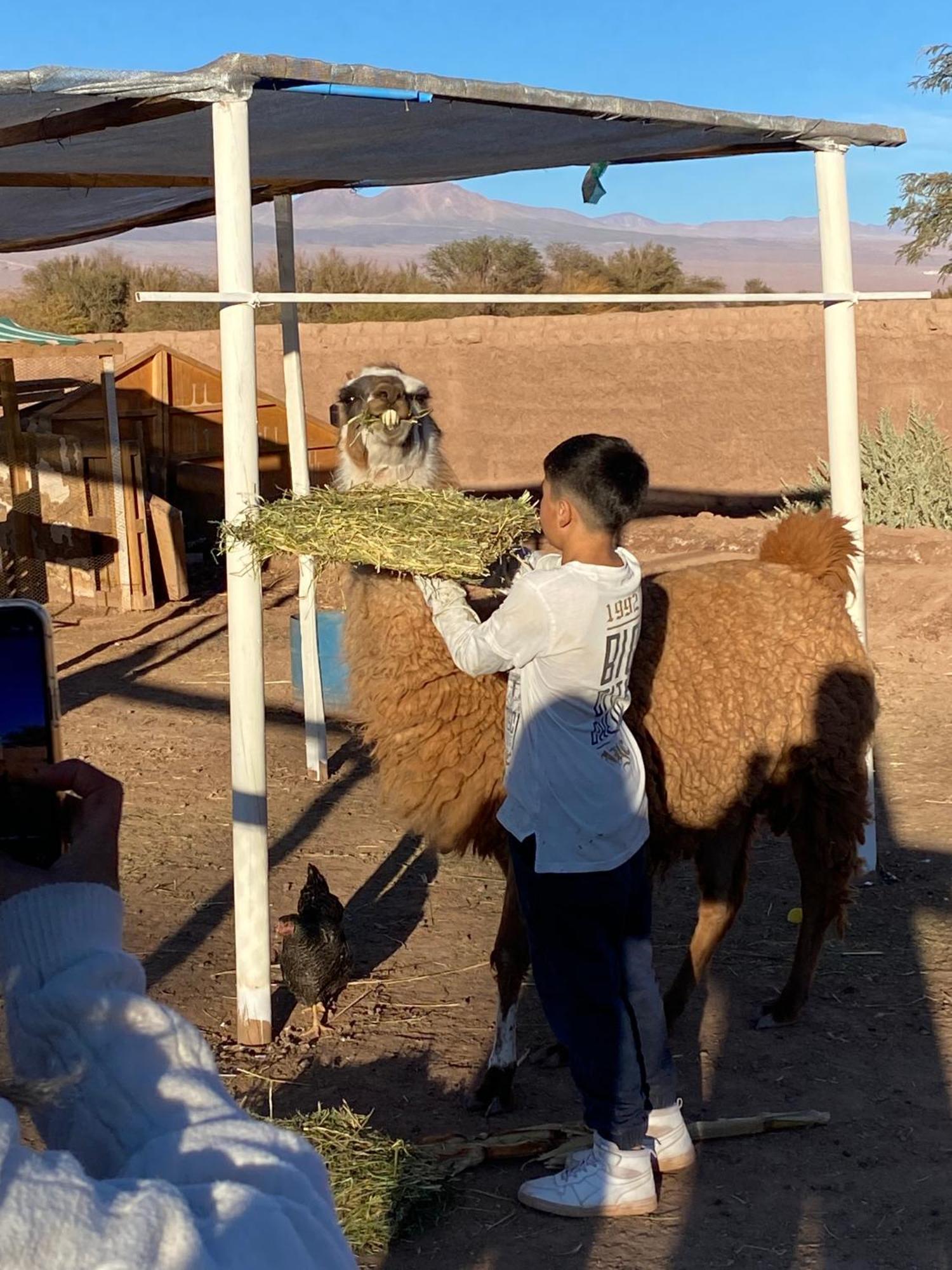 Cabanas Voyage Atacama سان بيدرو دي أتاكاما المظهر الخارجي الصورة